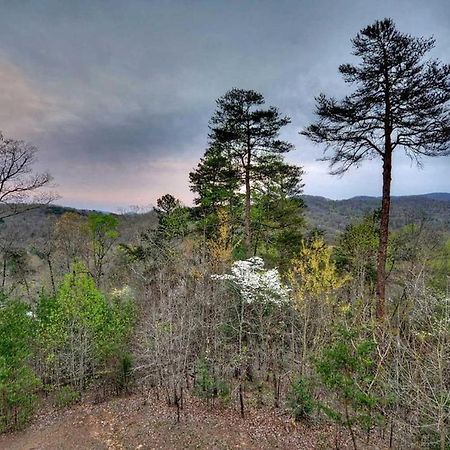 Blackberry Lodge Blue Ridge Extérieur photo