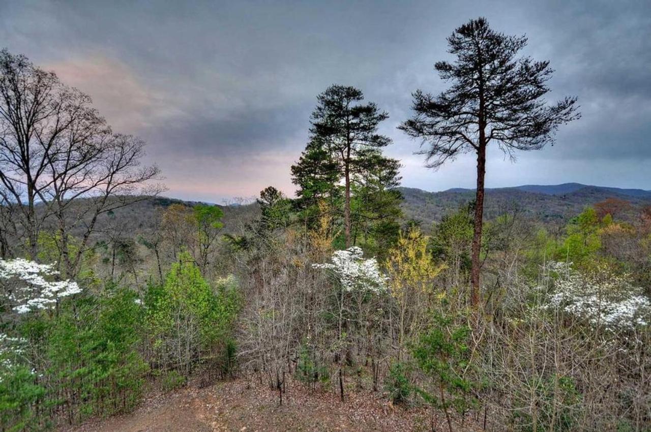 Blackberry Lodge Blue Ridge Extérieur photo